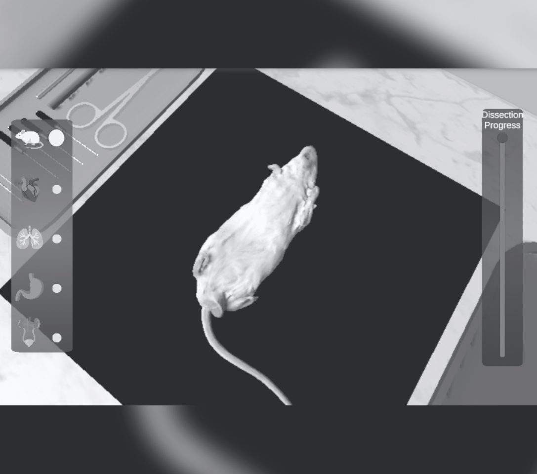 cover preview of Mouse Dissection (Content Warning)